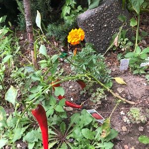 Meet your Posher, Alberta